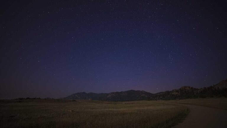 Is Cricbet99 Real Or Fake According To Users?