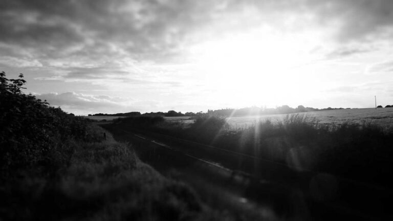 What Do Users Say About Their Experience On 99Exch?